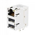 0862-1J1T-43 / 0862-1J1T-43-F Female RJ45 Connector With Dual USB