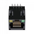 13F-64GYDPNS2NL Single Port 8 Pin RJ45