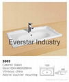 Cabinet washbasin ES29-13