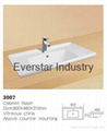 Cabinet washbasin ES29-14