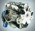 YUNNEI Engine Parts