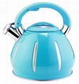 Stove-top kettles