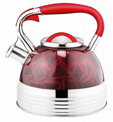 Stainless steel whistling kettle