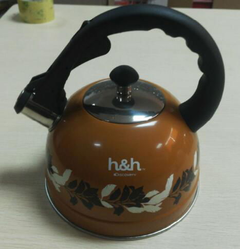 whistling kettle 2