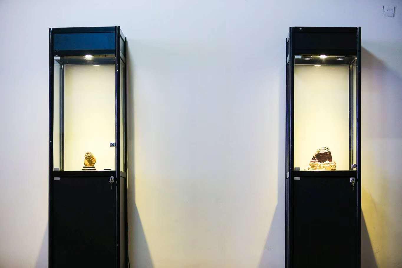 深圳产品展示柜出租定做 4