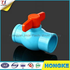 BS Socket Southeast Asia PVC Ball Valve