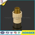 ASTM CPVC Brass Male Thread Coupling