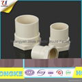 CPVC Pipe Female Thread Adapter