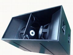 dual 18" Subwoofer speaker