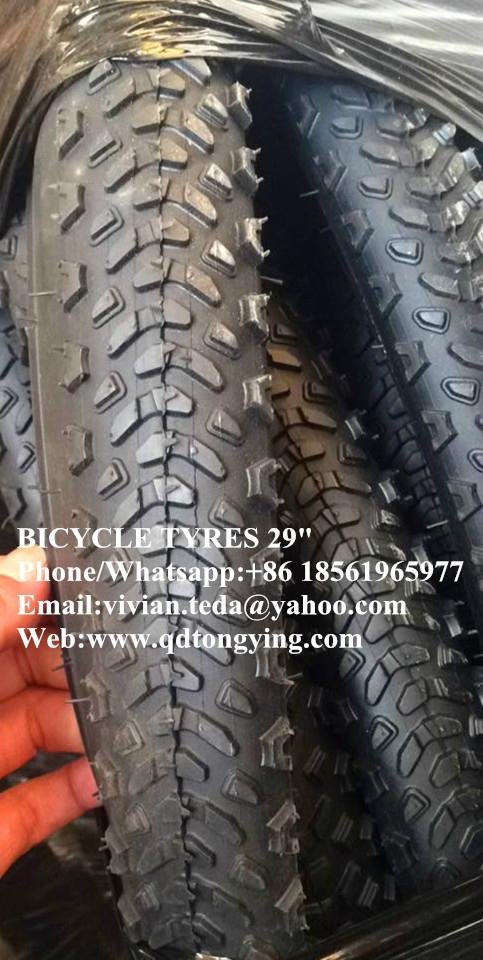 bicycle  tire 2
