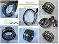 THB SL roller bearings-SL045010PP2NR for hydraulic grabs 1