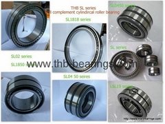THB SL roller bearings-SL045010PP2NR for hydraulic grabs