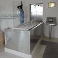 automatic cremation human from china EU standard