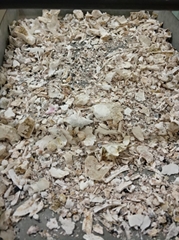  bone processor for crematorium