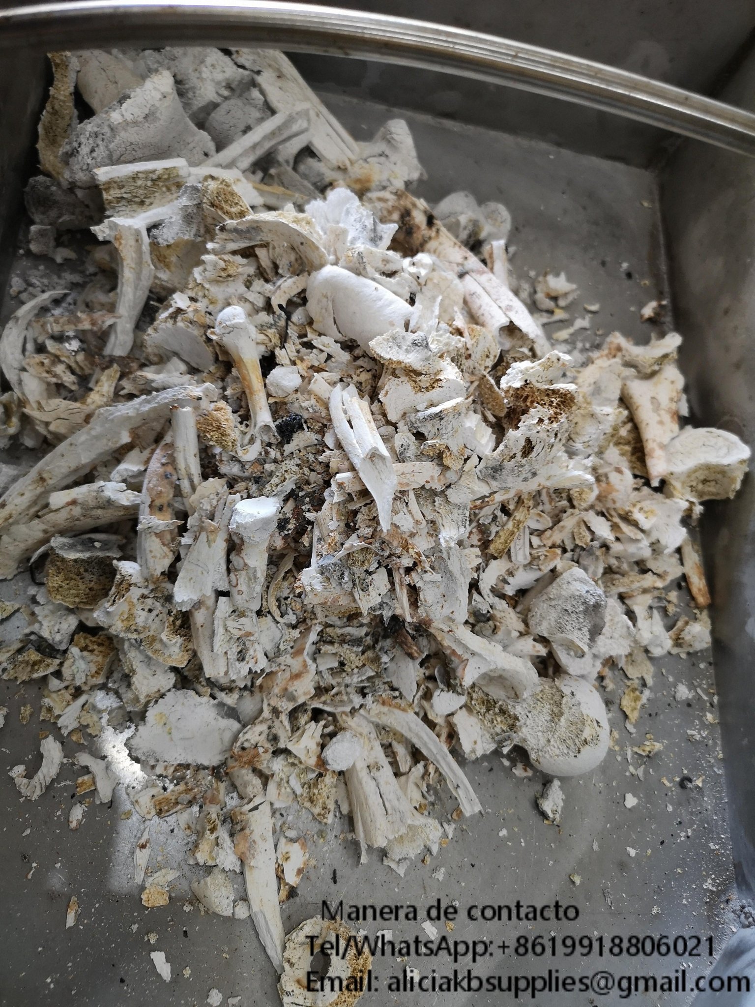 Para cremación de animales residuos cremados de triturador de cremación 5