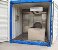 Portable Cremation Container for Cremate Human designed for South Africa market  3