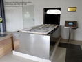 Cremation Machine crematory human equipment designed for South Africa market  8