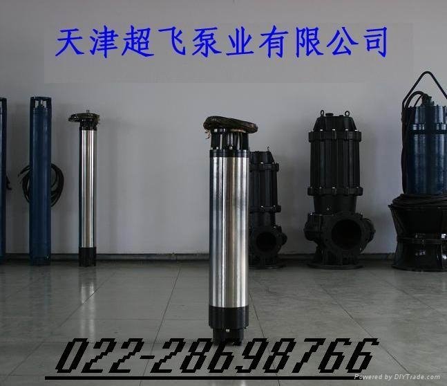 天津潛水泵，熱水潛水泵