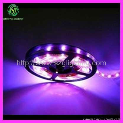 GL-005LS-5050-A Led strip light