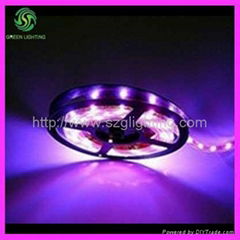 GL-005LS-5050-A Led strip light