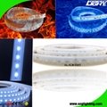 Waterproof 24V LED Flexible Strip Lighting Explosion Proof For Underground Mine
