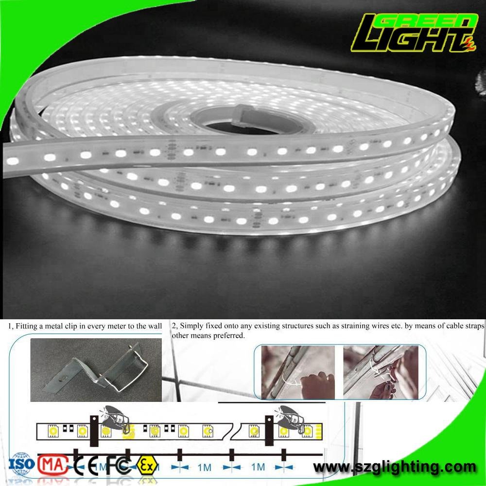 Cool White 16W SMD5050 72LEDs LED Flexible Strip Lights 3