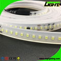 Silicone IP68 12W/M  SMD5050 Flexible