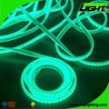 Silicone IP68 12W/M RGB SMD5050 Flexible Led Mining Lights 2