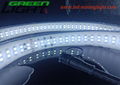 SMD5050 30W LED Flexible Strip Lights DC24V 2160lum/M 6200K RGB Color Changing