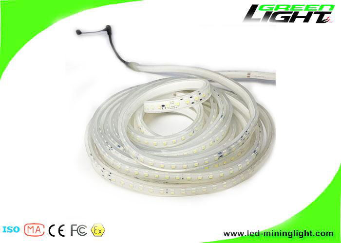 IP68 LED Flexible Strip Lights SMD 5050 Color Changing Strip Light Outdoor 4