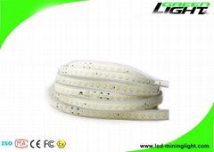 IP68 LED Flexible Strip Lights SMD 5050 Color Changing Strip Light Outdoor