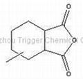 Methylhexahydrophthalic Anhydride (MHHPA) 2