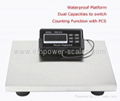 Electronic Postal Scale with counting function