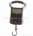 Price Counting Hanging Scale