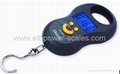 Electric Hanging Scale with 50kg Capacity