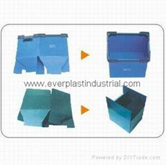 Coroplast Collapsible Plastic Container