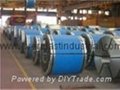 Corflute for Packaging Steel Coil  2