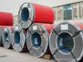 Corflute for Packaging Steel Coil  3