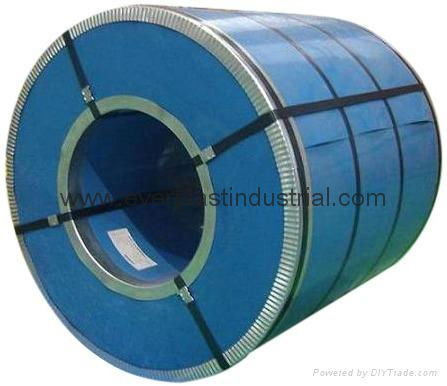 Corflute for Packaging Steel Coil  4