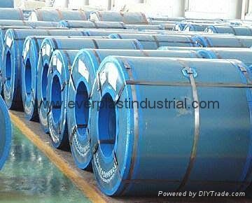 Corflute for Packaging Steel Coil  5