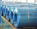 Corflute for Packaging Steel Coil 