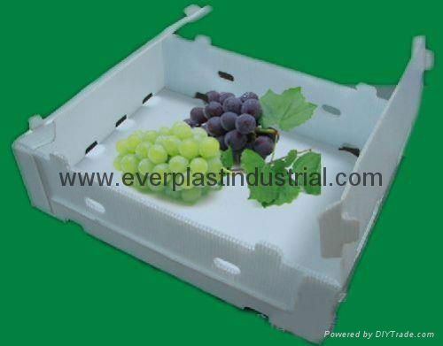 Fruit and Vegetable Packaging Box 3