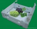 Fruit and Vegetable Packaging Box