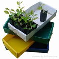 Fruit and Vegetable Packaging Box 4