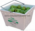 Fruit and Vegetable Packaging Box 5