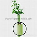 Fluted Polypropylene Sheet for Tree Guards