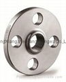 ss304 threaded flange