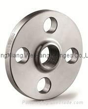 ss304 threaded flange