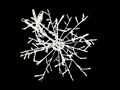 3D Snowflake light 1