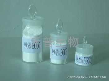 (-)-表沒食子儿茶素沒食子酸酯EGCG單體 3
